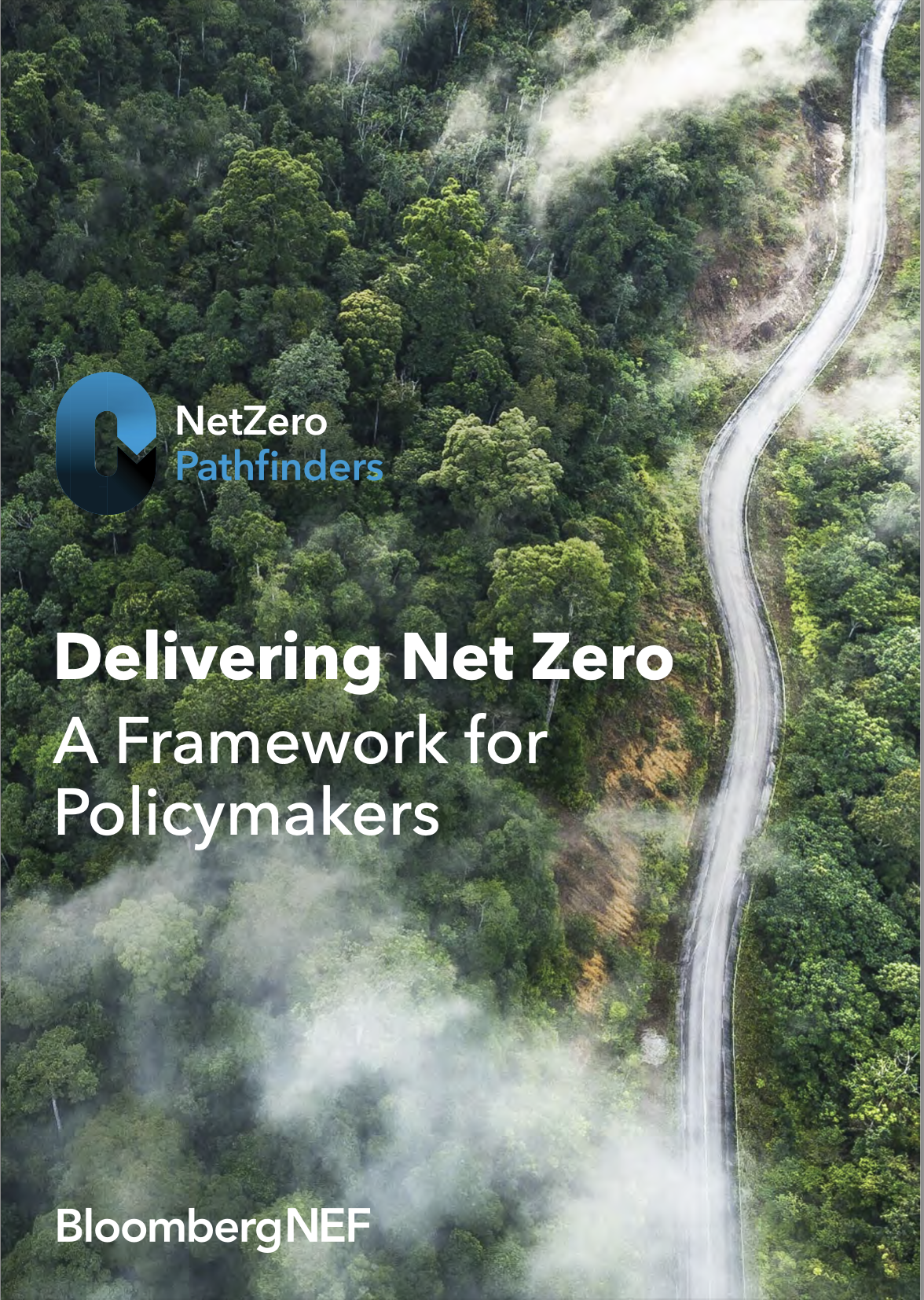 Delivering NetZero: A Framework for Policymakers